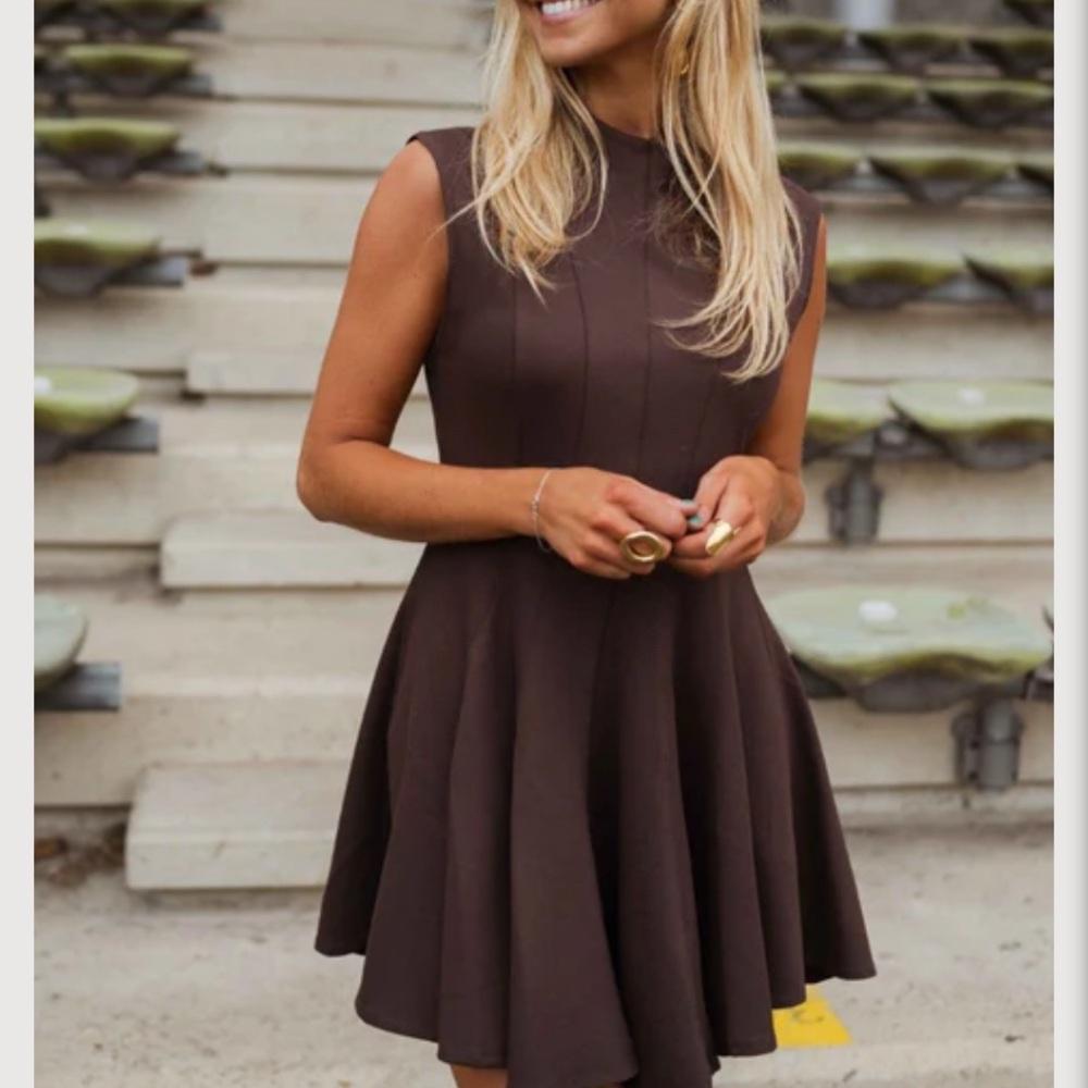 Chic Sleeveless Brown Mini Dress